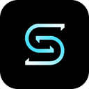 Seedance 2.5 AI Logo