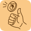 Flip a Coin Please Logo